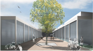 34_Scuola Bisceglie_01