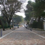 41_Viale Toledo Fasano_01