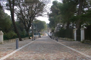 41_Viale Toledo Fasano_01